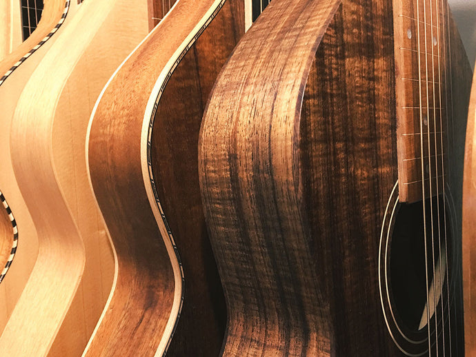 Choosing a beginner, entry level Weissenborn